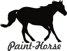 2x adesivi per auto " PAINT