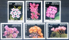 Flora. Giardino esotico 1981.