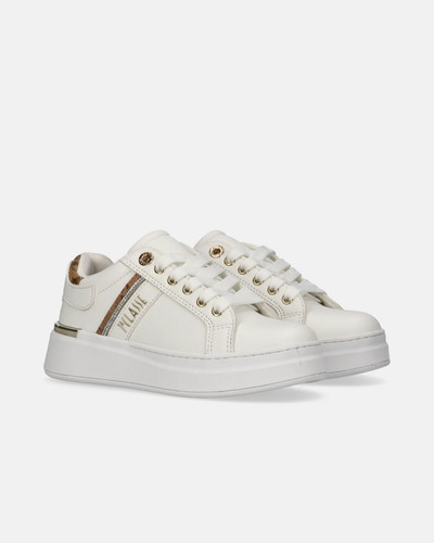 Alviero martini sneakers - martini,