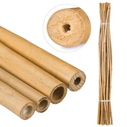 Canne bambù sostegno - canne,