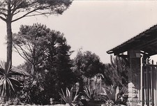 # FREGENE: VILLA MARTA (Prof