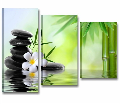 Bamboo stone zen - -, quadro
