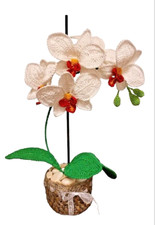 Fiori uncinetto orchidea nel