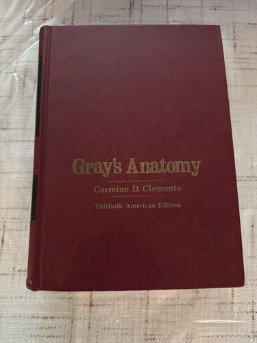 Gray anatomy the human - the,