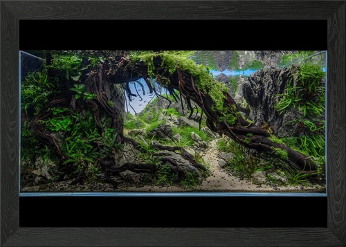 Diorama acquario incorniciato