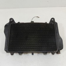 Ventola radiatore acqua