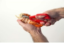 FORBICE FORBICI PINZA INOX