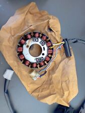 STATORE MINARELLI AM6 NEW 12 Poli  MALAGUTI XSM 50 POWER UP 2007/2019, Beta RR50