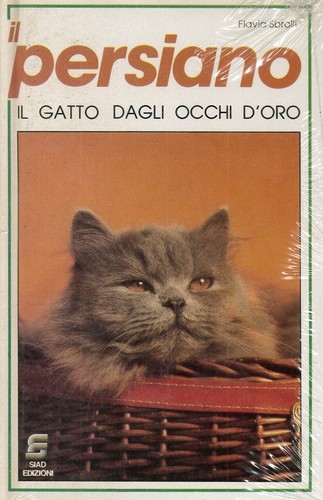 Libro gatto persiano - libro, il