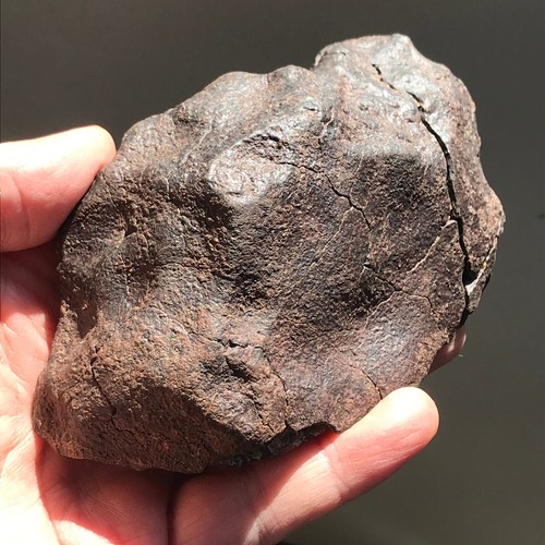 Meteorite condrite ordinaria