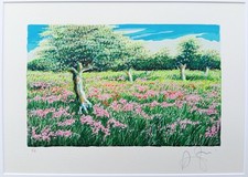 Franco Azzinari - Serigrafia