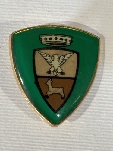 Spilla alpini distintivo - spilla,
