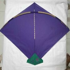 TreegoArt Best Indian Kite