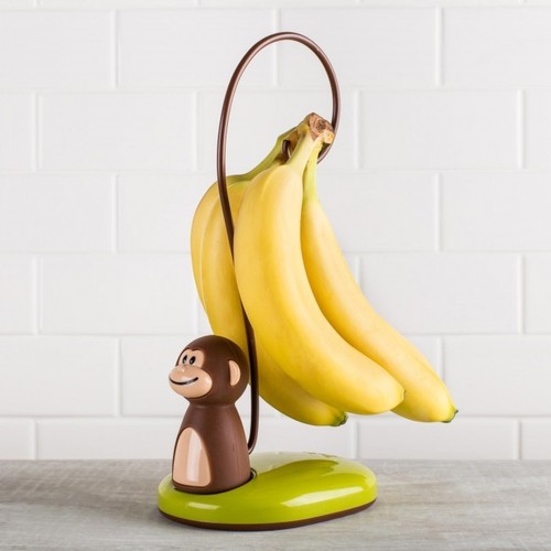 Monkey scimmietta con - , coda