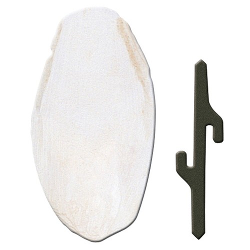 Accessori per gabbie - ,