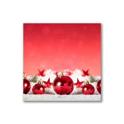 Quadro tela tulup 40x40 - su,