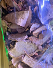 PORCINI SECCHI SOLE CALABRIA