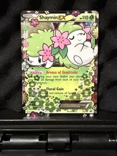 Carta Promo Pokémon TCG