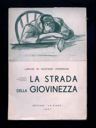 Libro strada della - libro,