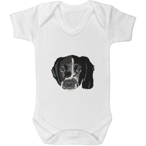 Springer spaniel puppy - 'springer, puppy'