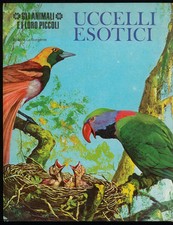 Uccelli esotici