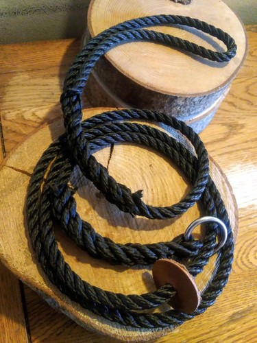 Guinzaglio scivolo cane
