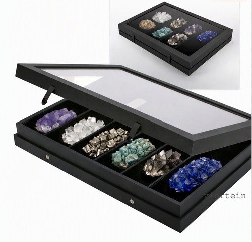 Safe vetrinetta black edition - safe,