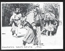1973  --  GOUMIERS DANS BASTIA