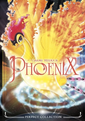 Phoenix perfect collection