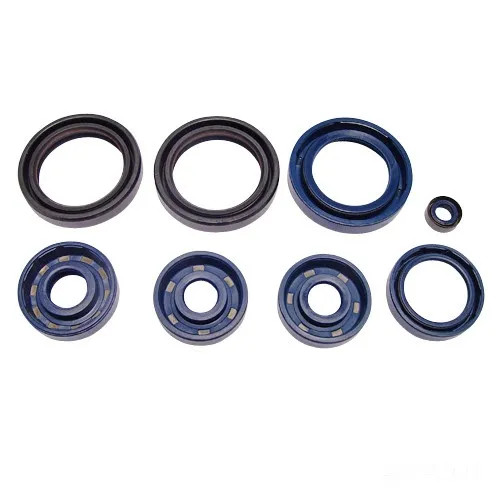 Kit guarnizioni motore per
