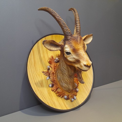 Vintage goat head dahu ibex - goat,