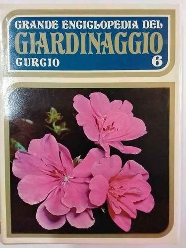 Grande enciclopedia del