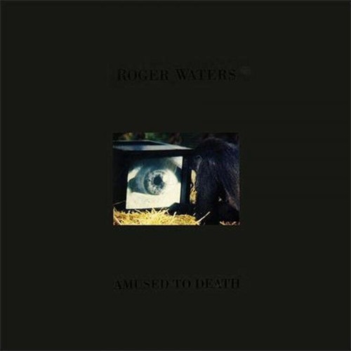 Roger waters amused - waters, to