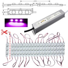 10x - 100x LED Modulo - Fucsia - Alimentatore 230V 12V 1,5W Pubblicità Luce