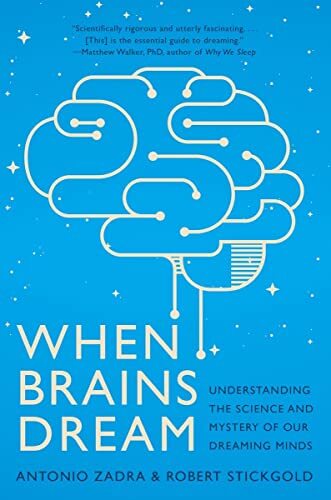 When brains dream - brains, exploring
