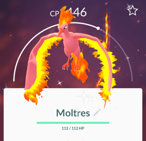 Shiny moltres t - p, c