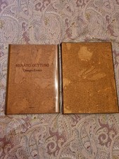 DISEGNI EROTICI - RENATO