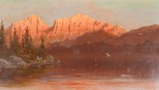 Trazione  Albert LANG