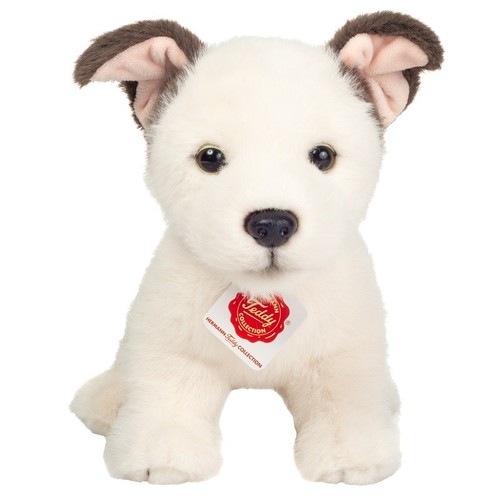 Russell cucciolo teddy - russell,