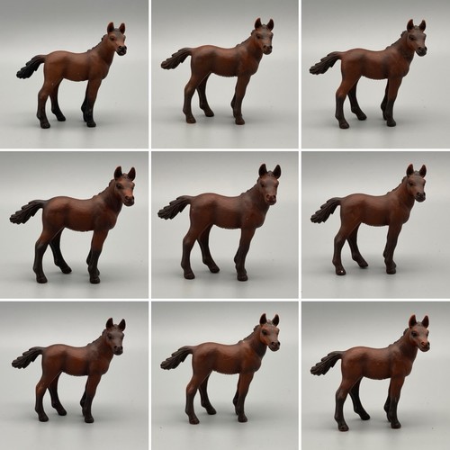 Cavalli schleich puledro - cavalli,