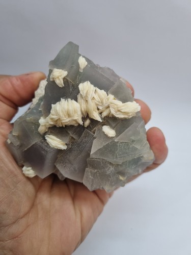 Minerali fluorite con - con, barite