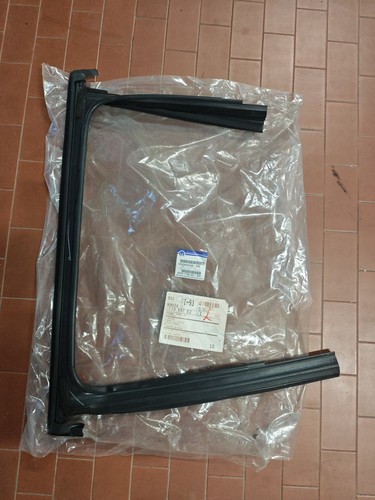 Guarnizione porta anteriore - guarnizione,