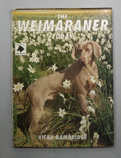 The Weimaraner Today di Vicky Bambridge