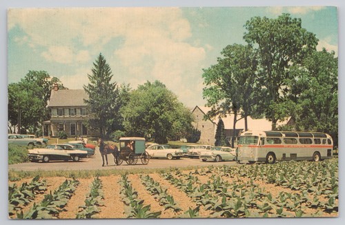 Lancaster pennsylvania amish - pennsylvania,,