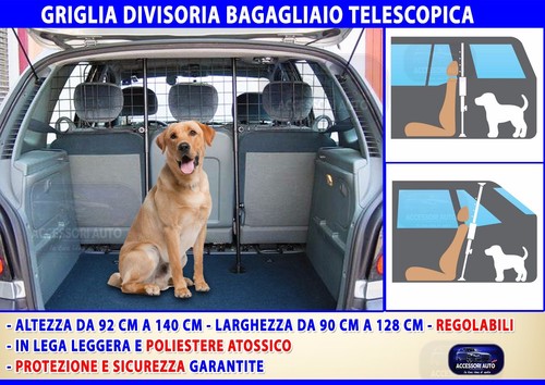 Divisorio auto griglia - auto,