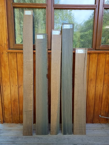 Legno palude morta raro - legno, palude/morta