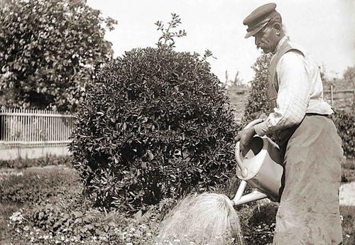 Foto antica ritratto - foto,