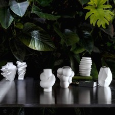 Vasi Midi Rosenthal In