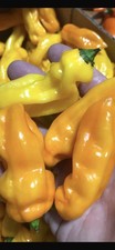 100 Gr PEPERONCINI