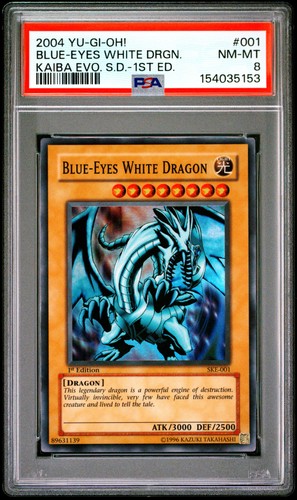 2004 kaiba evolution - kaiba,
